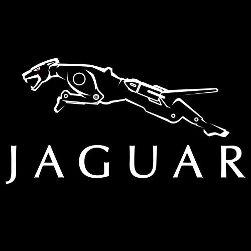 Jaguar Long Sleeve T-Shirt